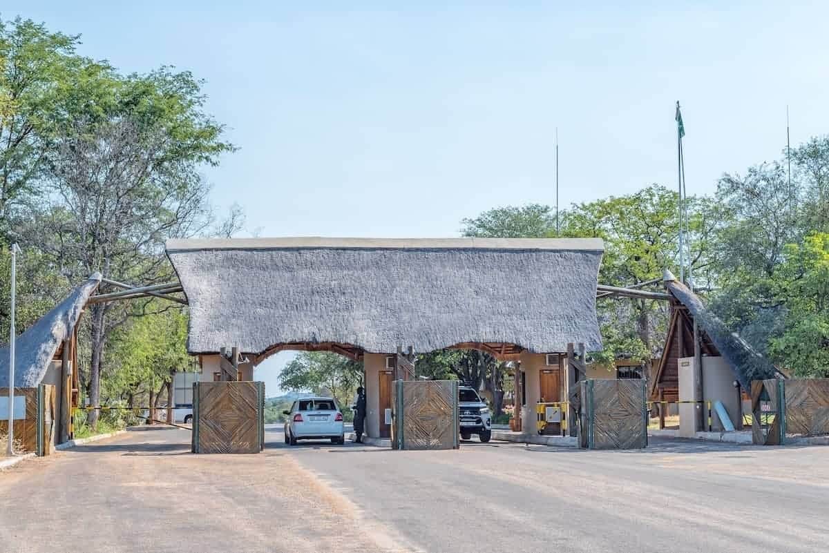 Kruger National Park wildlife